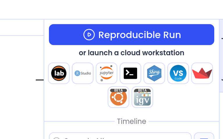 Running code on Codeocean