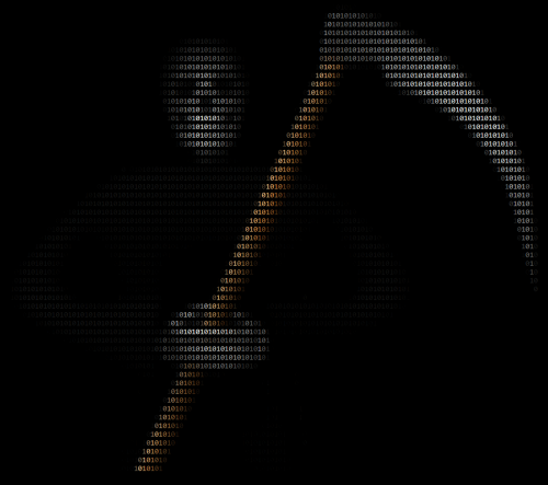 Source: ruoaa (pixabay.com)